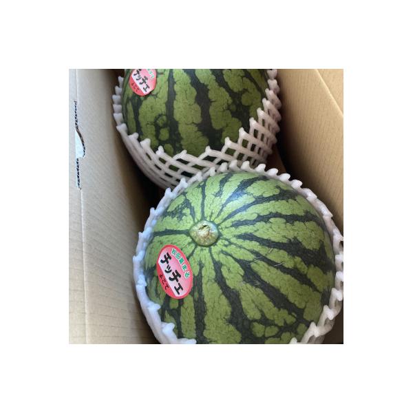 【夏の贈り物】秋田県産　あきた夏丸チッチェ　小玉すいか　2玉(L～2Lサイズ)