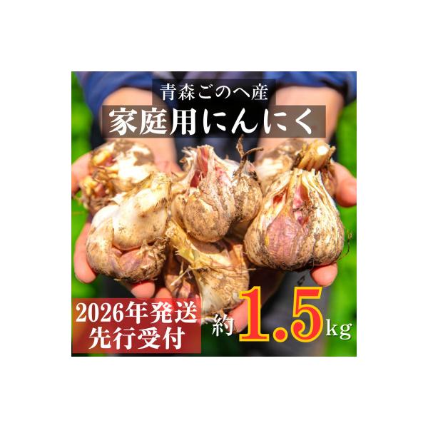 【先行受付:2026年7月より発送】青森ごのへ町産にんにく　家庭用土付きLサイズ以上 約1.5kg