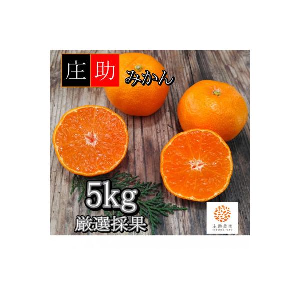 <先行受付2026年10月末より発送>有田・庄助みかん5kg【厳選採果】