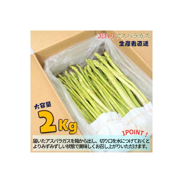 【訳あり】ご家庭用に大活躍!僕とじいちゃんのアスパラガス2kg