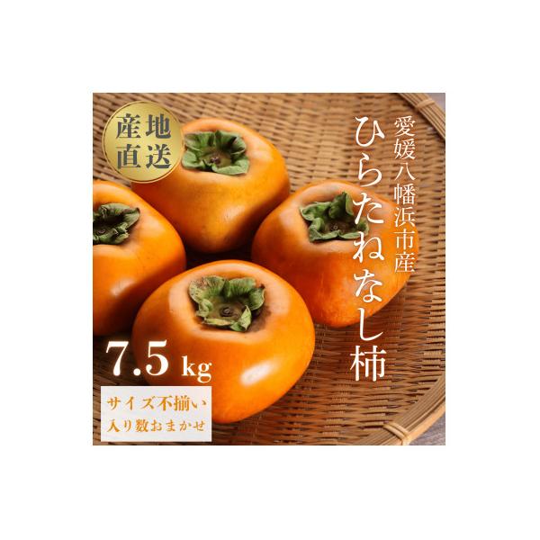 国安さんちのひらたねなし柿 7.5kg【F20-27】