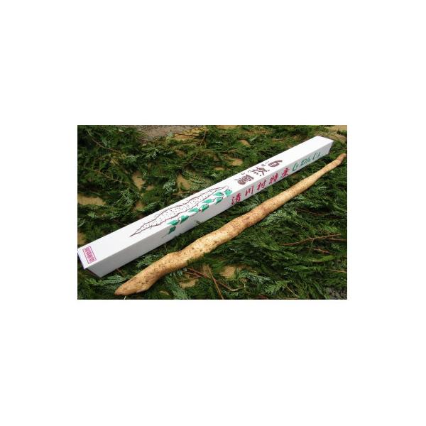 ■お礼品詳細　・配送種別：通常　・提供元：清川村自然薯育成会■お申し込み・配送・その他　・発送時期：2025-11-10〜2026-02-28(お届け時間帯指定可)　・申込受付期間：〜2026-01-31　・配達外のエリア：　・寄付証明書の...