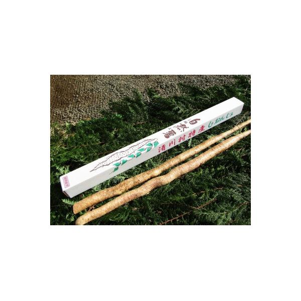 ■お礼品詳細　・配送種別：通常　・提供元：清川村自然薯育成会■お申し込み・配送・その他　・発送時期：2025-11-10〜2026-02-28(お届け時間帯指定可)　・申込受付期間：〜2026-01-31　・配達外のエリア：　・寄付証明書の...