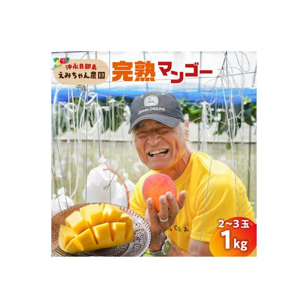 【2026年先行予約】竹マンゴーえみちゃん農園の完熟マンゴー　1kg