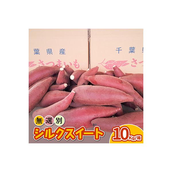 香取市産　無選別さつま芋「シルクスイート」大きさ・形不ぞろい　10kg箱
