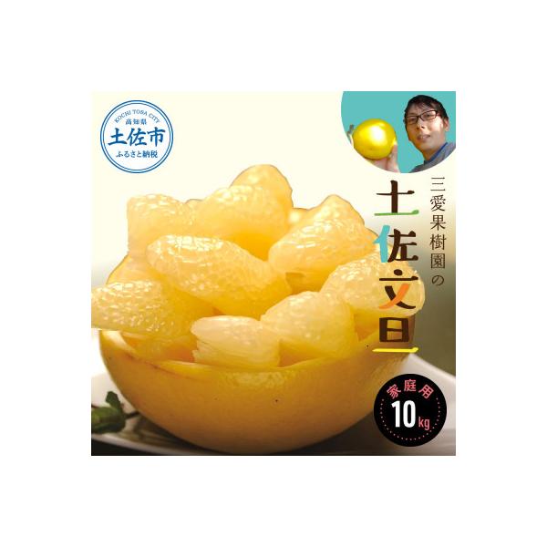 三愛果樹園の土佐文旦　家庭用約10kg
