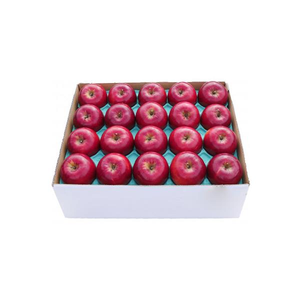 りんご 紅玉 家庭用 約5kg