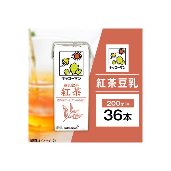 36本×紅茶豆乳200ml