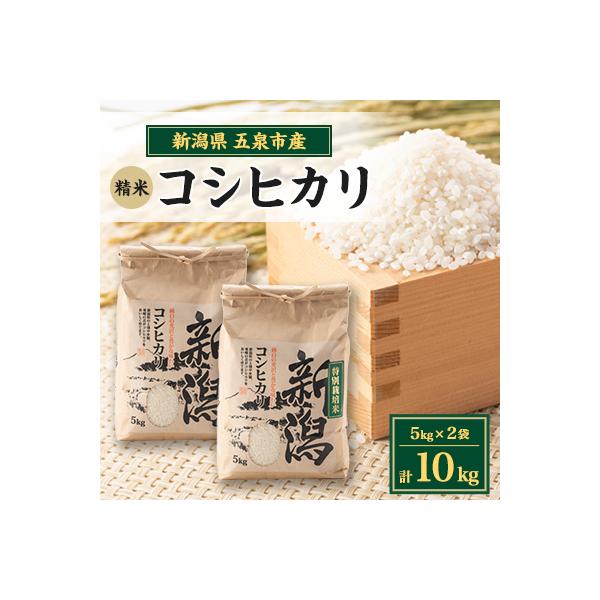 令和7年産新潟県五泉市産　コシヒカリ　10kg(5kg×2袋)　精米