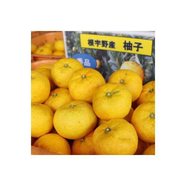≪先行受付≫【神河町特産】根宇野(みよの)の柚子(ゆず) 約2kg　※11月上旬〜順次発送