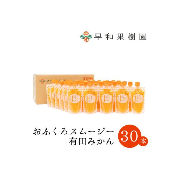 【早和果樹園】おふくろスムージー有田みかん　飲むみかんゼリー(パウチタイプジュレ)170g×30本入