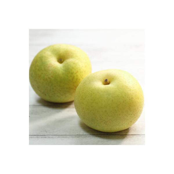 栃木県小山市産「梨」秋麗　5kg