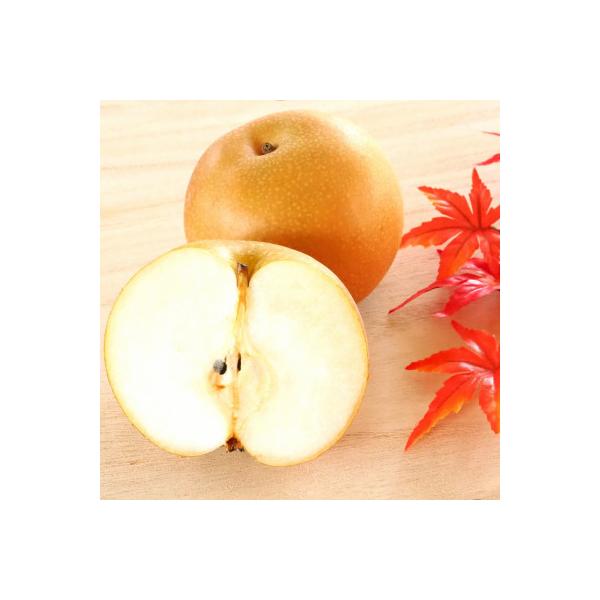栃木県小山市産「梨」あきづき　5kg