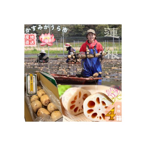 ■お礼品詳細　・配送種別：冷蔵便　・提供元：かすみマルシェ■お申し込み・配送・その他　・発送時期：2025-09-08〜2026-03-31(お届け時間帯指定可)　・申込受付期間：〜2026-03-23　・配達外のエリア：離島　・寄付証明書...