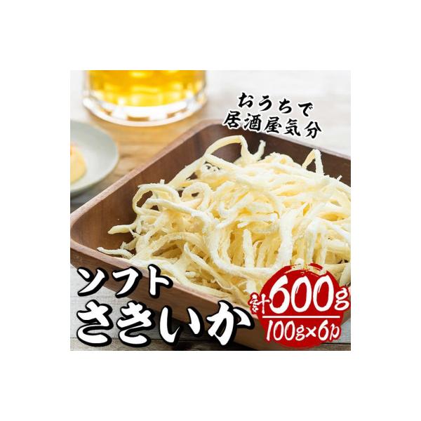ソフトさきいか(100g×6パック・計約600g)