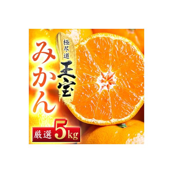 【愛媛名産】玉宝みかん(5kg)【D64-1】