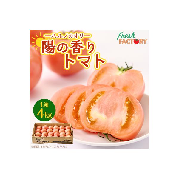 『陽の香り』トマト4kg箱満杯詰め　長野の自然が育てた恵　(個数おまかせ)