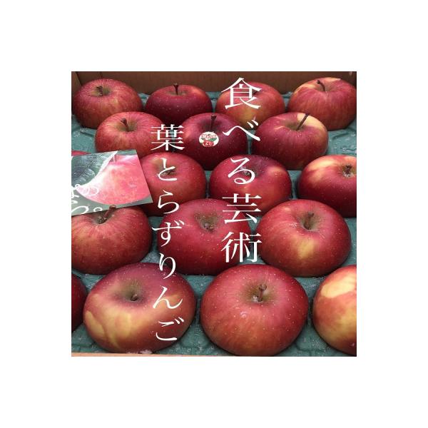 園主一押し!味をとことん突き詰めたりんご　葉とらずサンふじ　贈答用　約5kg　蜜入り期待大!