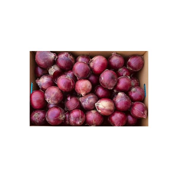 ■お礼品詳細　・配送種別：冷蔵便　・提供元：合同会社　エコハート■お申し込み・配送・その他　・発送時期：2025-10-01〜2026-03-31(お届け時間帯指定可)　・申込受付期間：〜2026-03-10　・配達外のエリア：離島　・寄付...