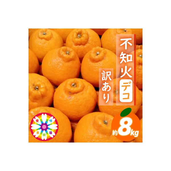愛咲果樹園 「 不知火 ( デコ )」 訳あり 約8kg【C71-13】