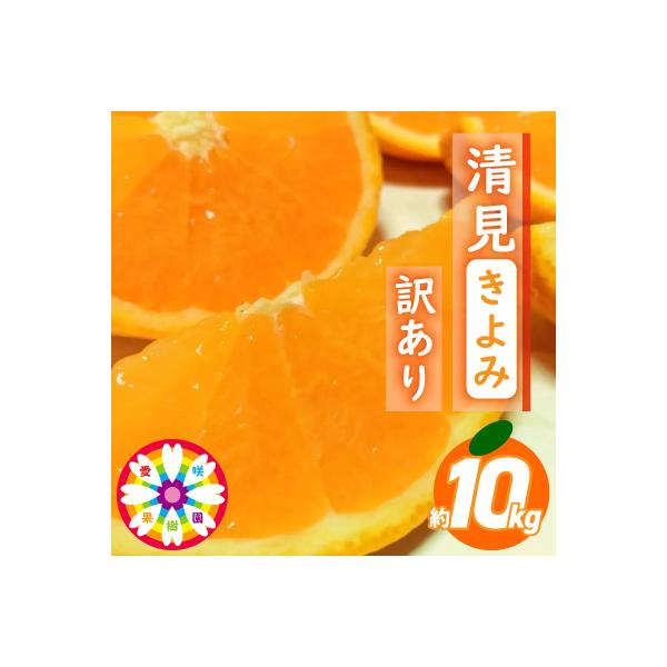 愛咲果樹園 「 清見 」 訳あり 約10kg【C71-15】