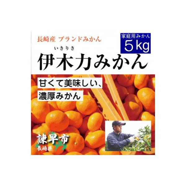 【先行予約】《伊木力みかん》家庭用みかん(5kg)