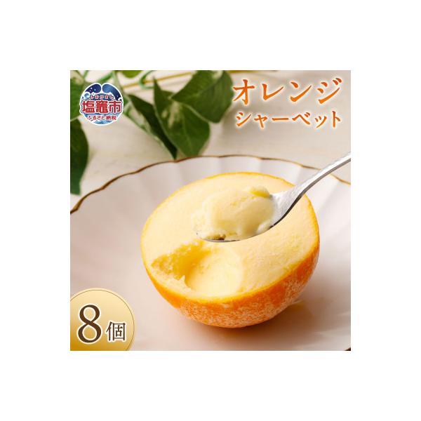 ふるさと納税 塩竈市 【メディアで多数紹介!】オレンジシャーベット8個