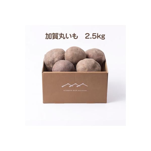 加賀伝統野菜!令和8年度産　加賀丸いも　2.5kg