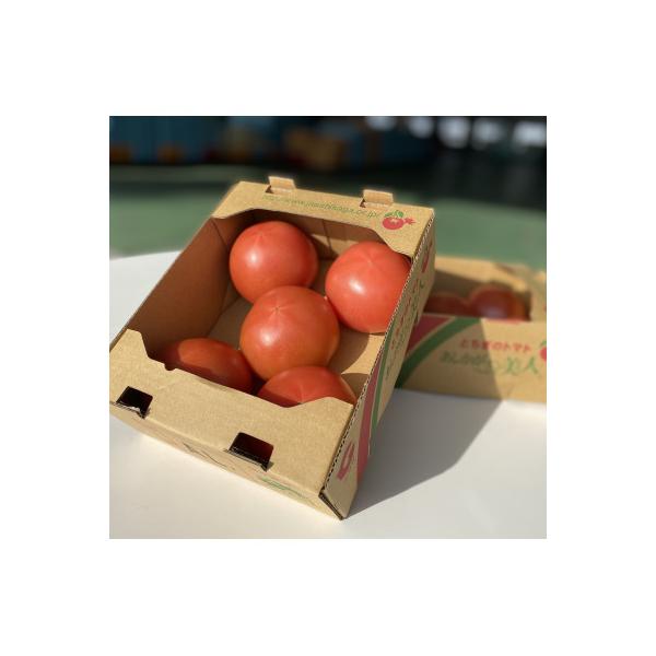 太陽の恵みを受けて育った　あしかが美人トマト1kg×2箱
