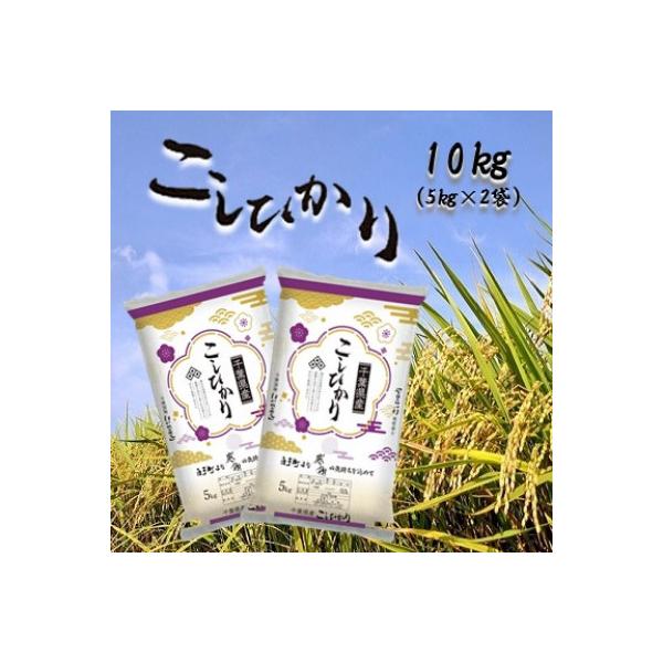 令和7年産千葉県産コシヒカリ 精米 10kg (5kg×2袋)