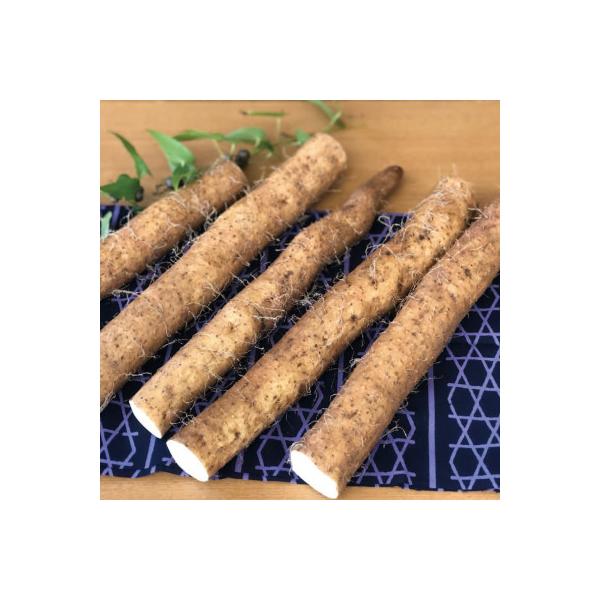 ■お礼品詳細　・配送種別：冷蔵便　・提供元：やまいもまつり有限会社■お申し込み・配送・その他　・発送時期：お申し込み後、1週間程度で順次発送予定(お届け時間帯指定可)　・申込受付期間：通年　・配達外のエリア：離島　・寄付証明書の送付時期目安...