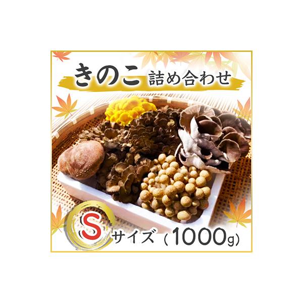 きのこの詰め合わせSサイズ(1000g)