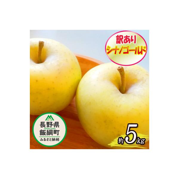 2026年11月以降出荷 訳あり りんご シナノゴールド 約5kg 光センサー選果 12～25玉