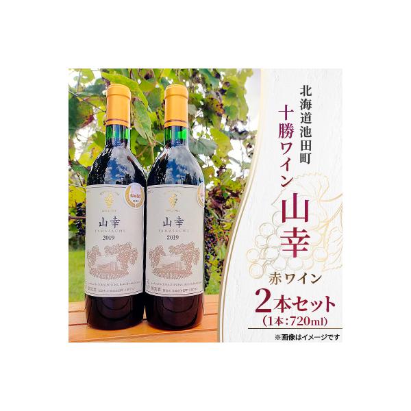 十勝ワイン 山幸2本セット