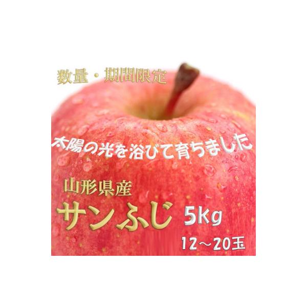 【令和8年度産先行受付】※数量・期間限定　山形県産りんご　サンふじ　秀品　5kg　12～20玉