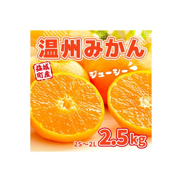 益城町産　温州みかん　約2.5kg