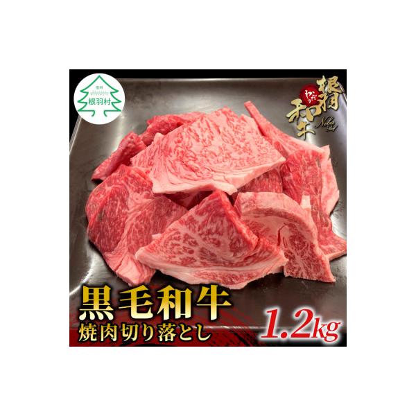 根羽こだわり和牛 焼肉切り落とし 1.2kg (600g×2パック)
