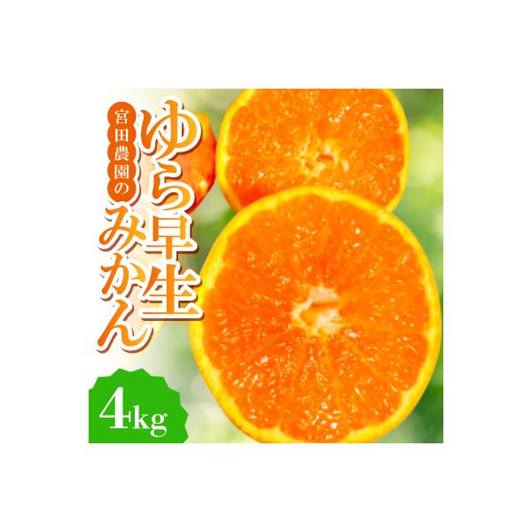 【ゆら早生】宮田農園の温州みかん　4kg
