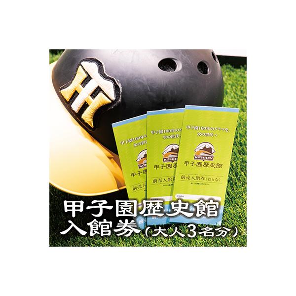 ふるさと納税 西宮市 甲子園歴史館の入館券(大人3名分)