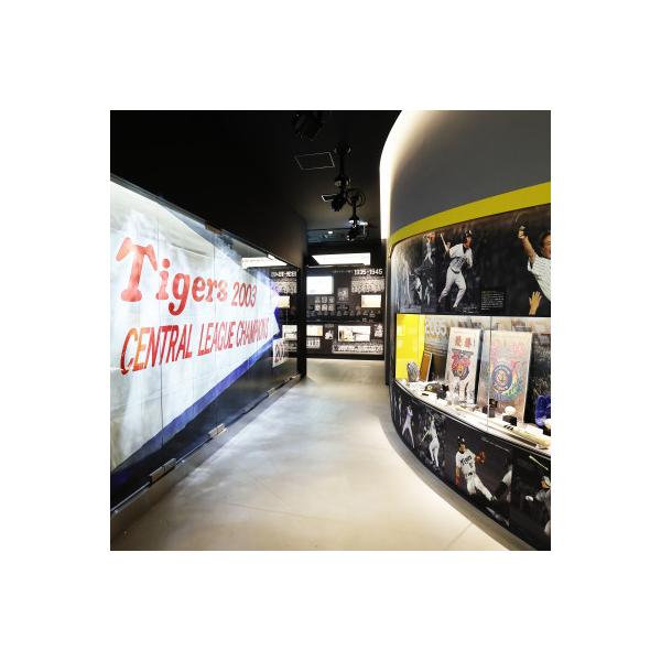 ふるさと納税 西宮市 甲子園歴史館の入館券(大人10名分)
