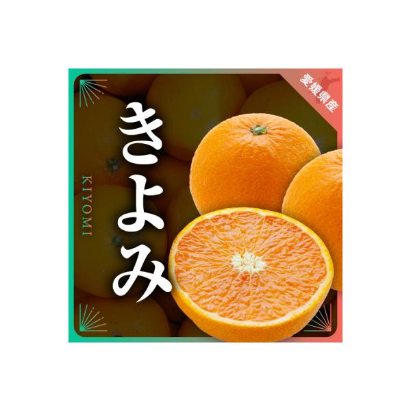 三代目がつくる高品質【きよみ】5kg【D31-9】