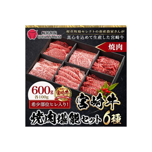 【ヒレ入り!】宮崎牛6種盛り焼肉堪能セット600g