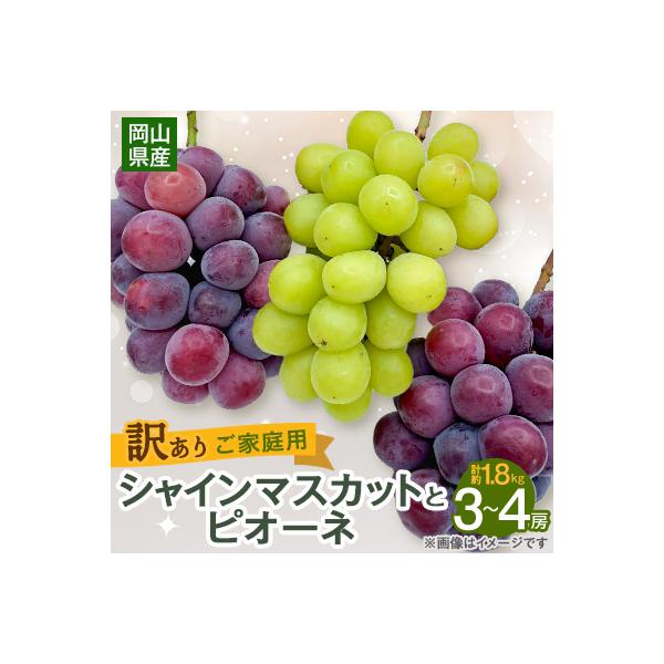 【2026年9月下旬発送】訳ありシャインマスカットとピオーネ詰合せ 3～4房 1.8kg ご家庭用