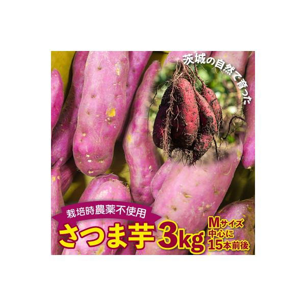さつまいも　紅はるか　栽培期間中農薬不使用栽培　3kg