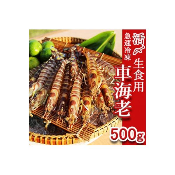 久米島漁協の活〆冷凍車海老　生食用500g