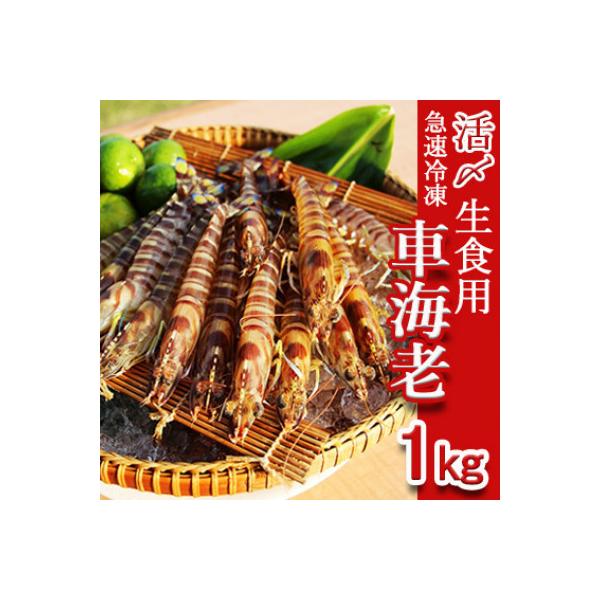 久米島漁協の活〆冷凍車海老　生食用1kg