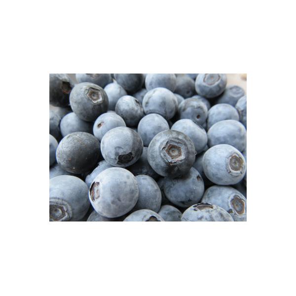 ■お礼品詳細　・配送種別：冷凍便　・提供元：ナイトウ果樹園■お申し込み・配送・その他　・発送時期：お申し込み後1週間程度で順次発送予定(お届け時間帯指定可)　・申込受付期間：〜2026-05-24　・配達外のエリア：離島　・寄付証明書の送付...