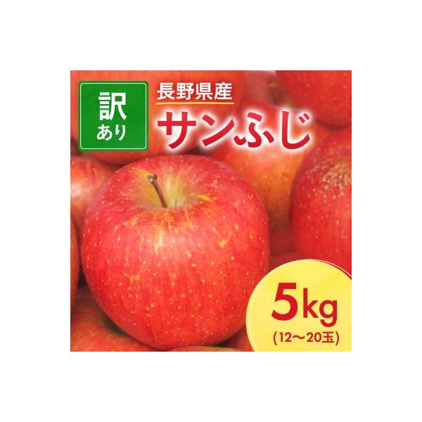 【先行受付】長野県産 サンふじ りんご 家庭用 訳あり 5kg(12～20玉)