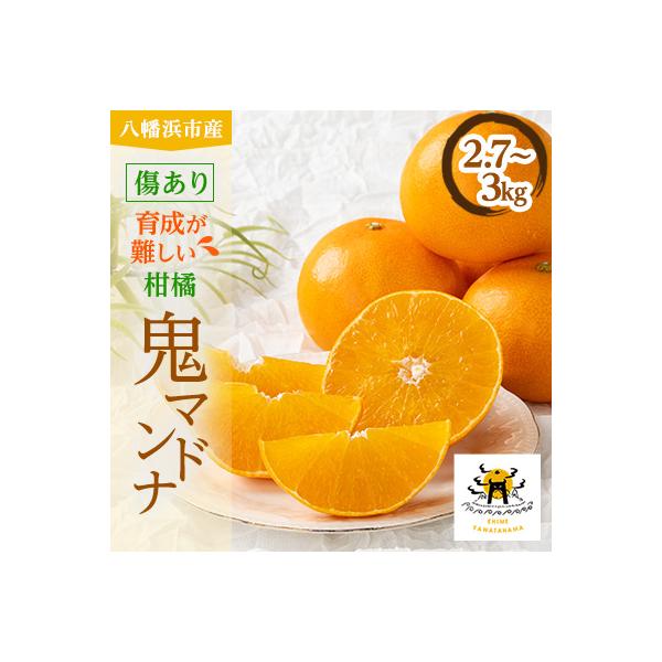 柑橘の鬼たちがつくる八幡浜産・鬼 マドンナ (2.7kg～3.0kg)[ 傷あり ]【E56-33】