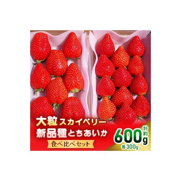 【先行予約・数量限定】大粒スカイベリー&新品種とちあいか 食べ比べセット600g　栃木　いちご